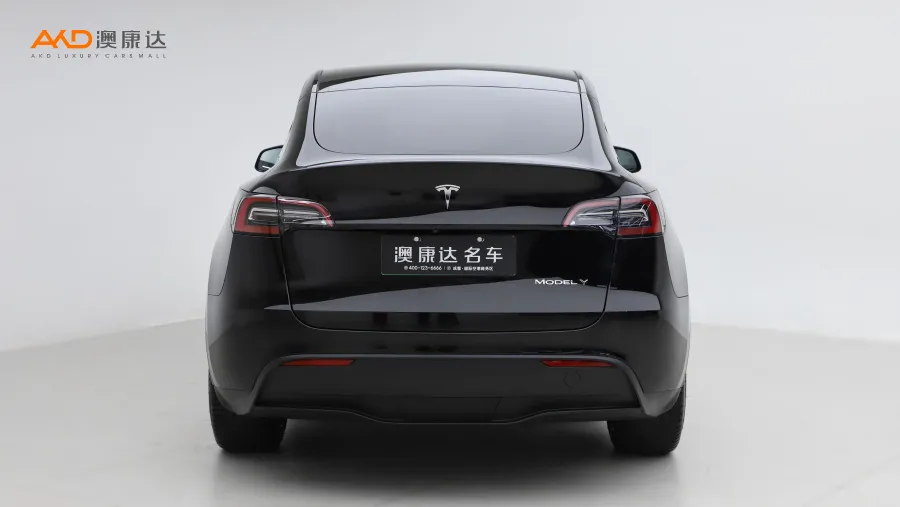 二手特斯拉Model Y 长续航全轮驱动版图片3676716