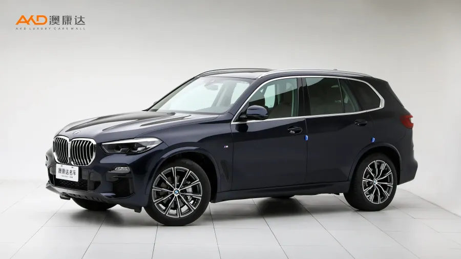 二手宝马X5 xDrive30i M运动套装图片