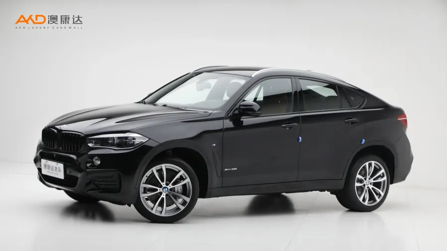 二手宝马X6 xDrive35i M豪华运动型图片