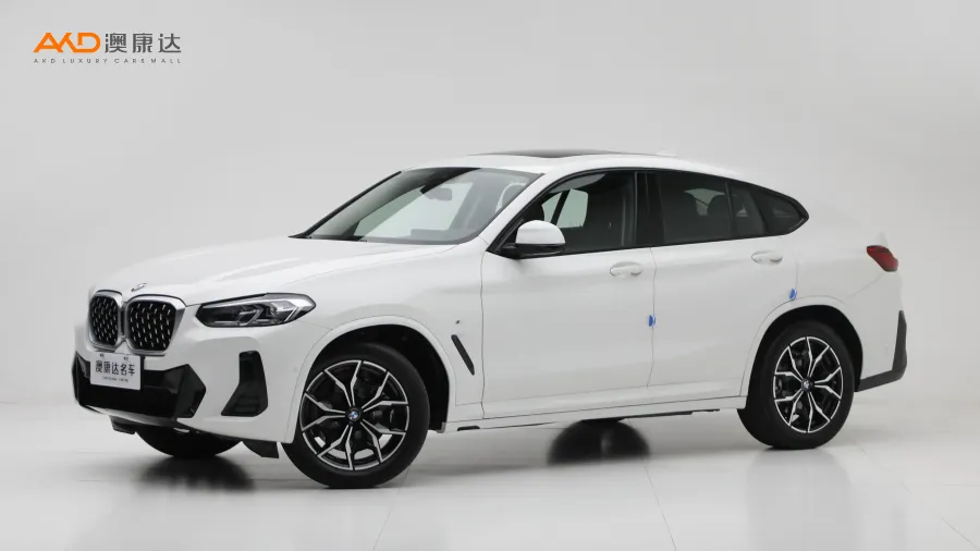 二手宝马X4 xDrive25i M运动套装图片