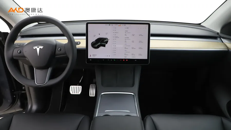 二手特斯拉Model Y Performance高性能全轮驱动版图片3679053