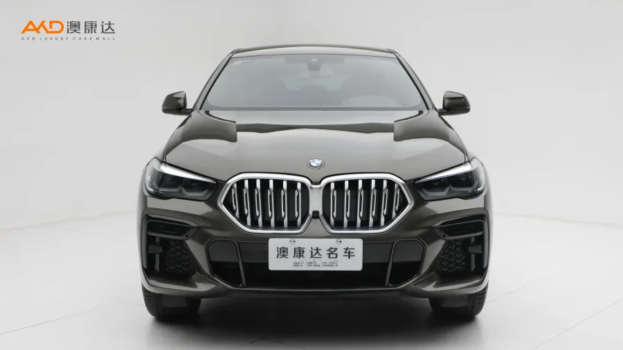 二手宝马X6 xDrive30i M运动套装图片3681647