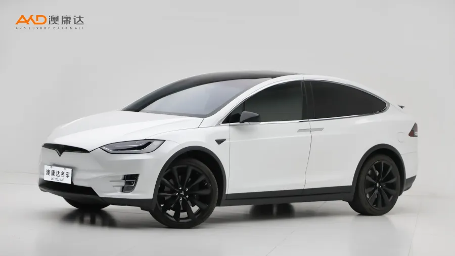 二手特斯拉Model X 100D 长续航版图片