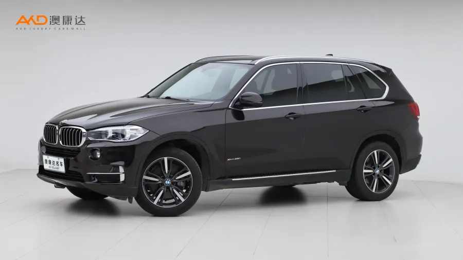 二手宝马X5 xDrive35i 典雅型图片