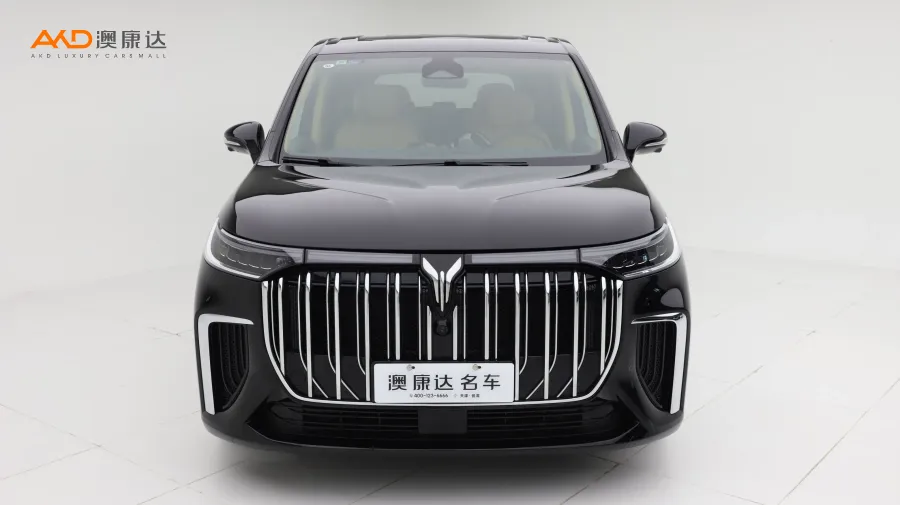 二手岚图梦想家 PHEV 超长续航尊贵版图片3688556