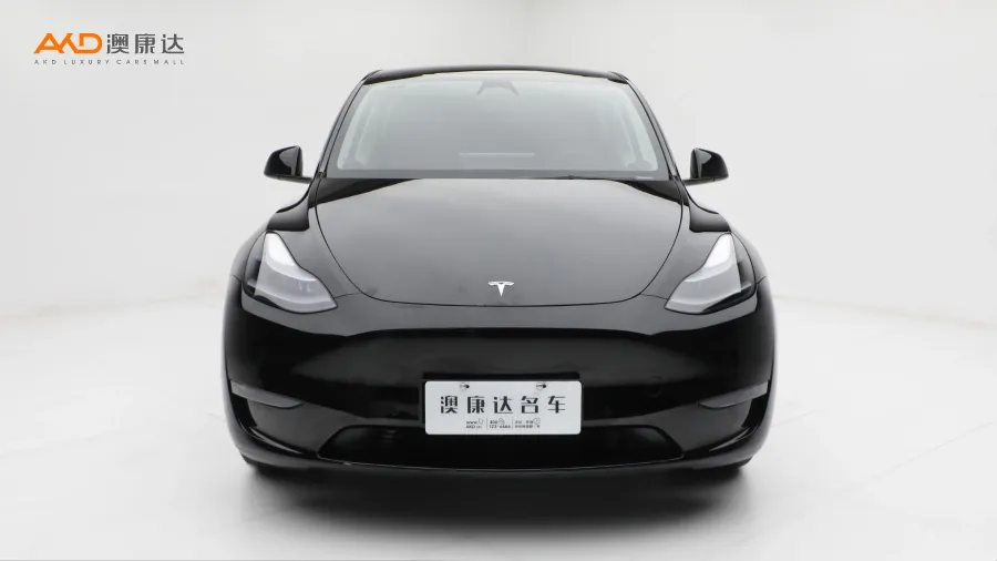 二手特斯拉Model Y 改款 长续航全轮驱动版图片3691811