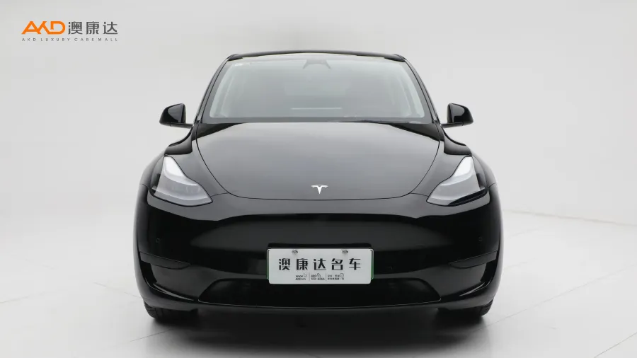 二手特斯拉Model Y 后轮驱动版图片3695340