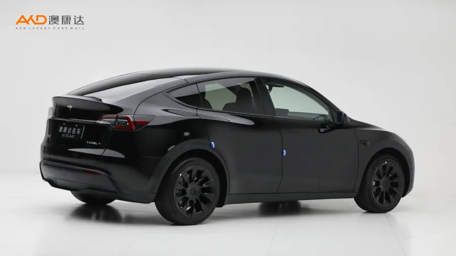 二手特斯拉Model Y 后轮驱动版图片3695344