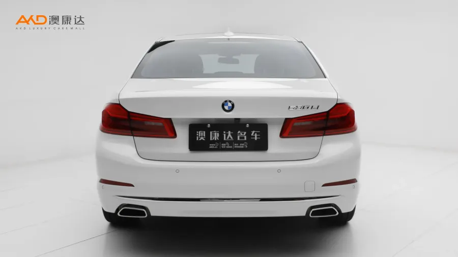 二手宝马530Li 领先型 豪华套装图片3700129