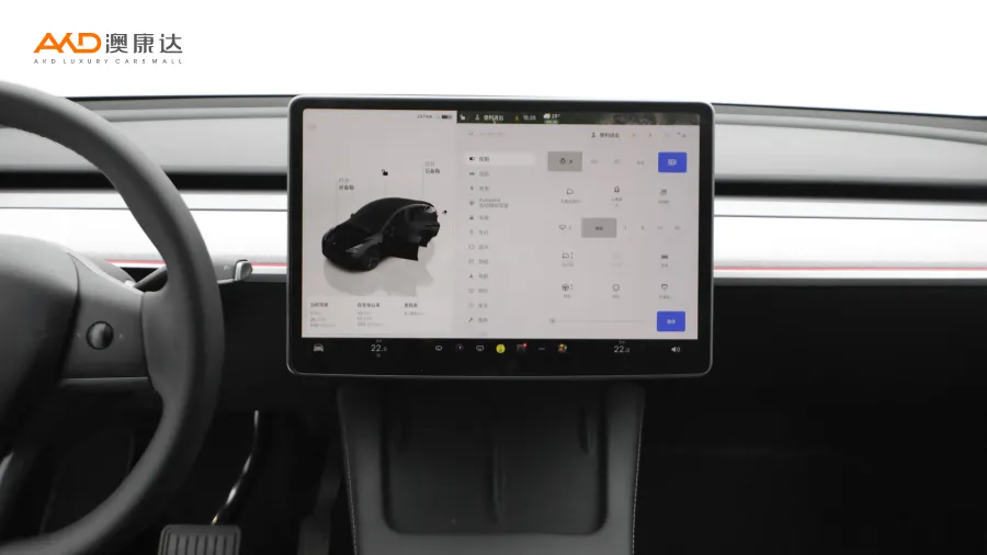 二手特斯拉Model Y 后轮驱动版图片3699879