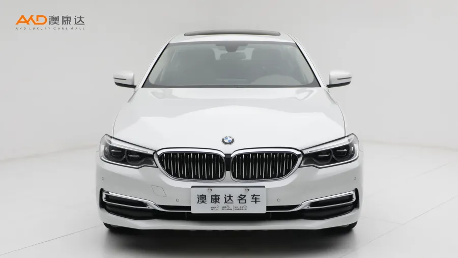 二手宝马530Li 领先型 豪华套装图片3700123