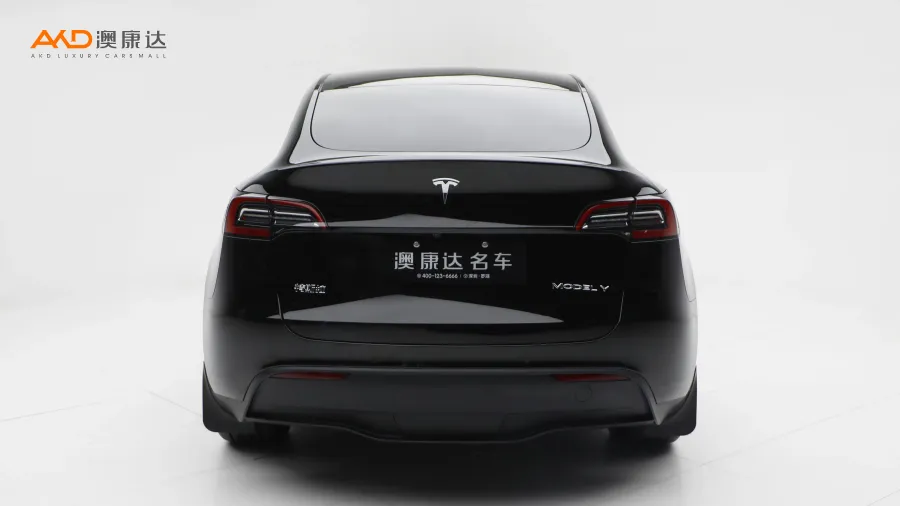 二手特斯拉Model Y 后轮驱动版图片3699850