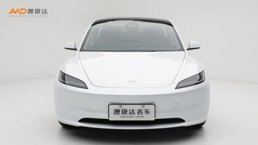 二手特斯拉Model 3 长续航全轮驱动版图片3701901