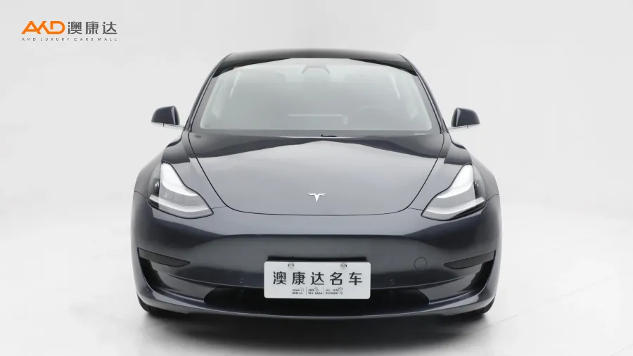 二手特斯拉Model 3 标准续航后轮驱动升级版图片3702854