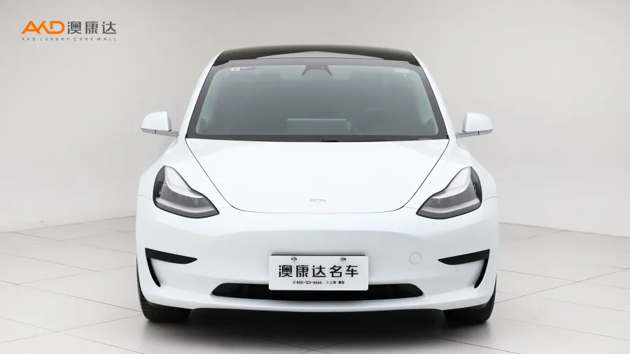 二手特斯拉Model 3 标准续航后轮驱动升级版图片3706486