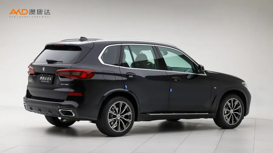 二手宝马X5 xDrive30i M运动套装图片3710399