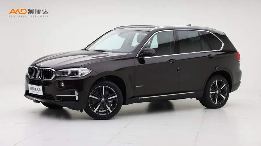 二手宝马X5 xDrive35i 典雅型图片