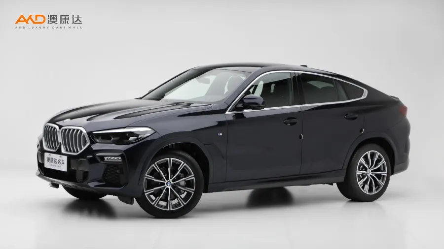 二手宝马X6 xDrive30i M运动套装图片