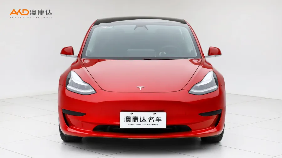 二手特斯拉Model 3 标准续航后驱升级版图片3735949