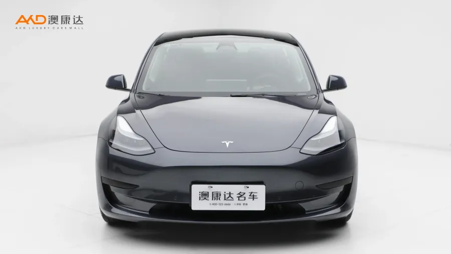 二手特斯拉Model 3 后轮驱动版图片3738893