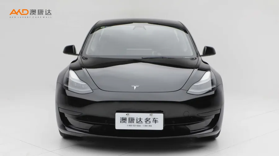 二手特斯拉Model 3 标准续航后驱升级版3D6图片3737878