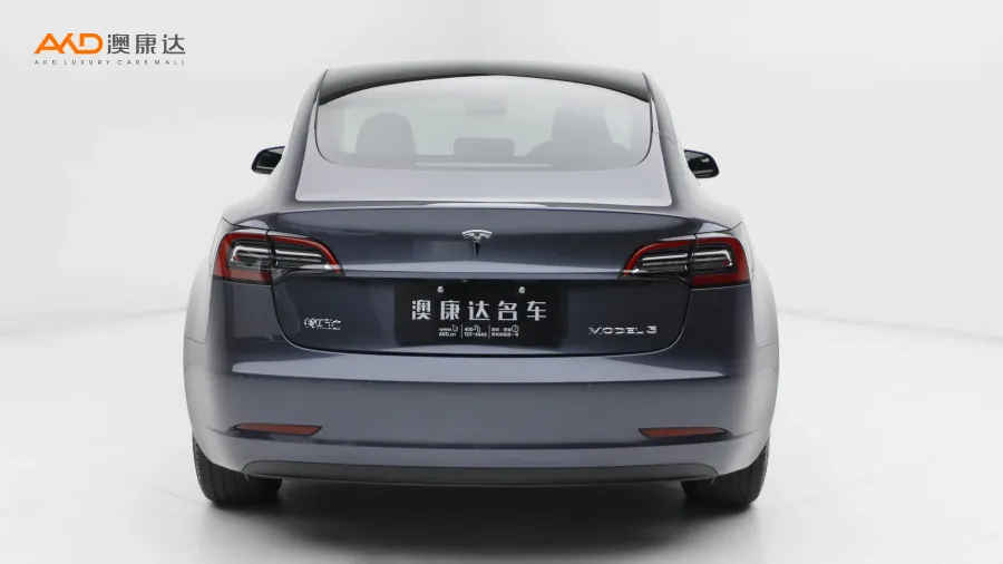 二手特斯拉Model 3 后轮驱动版图片3738897