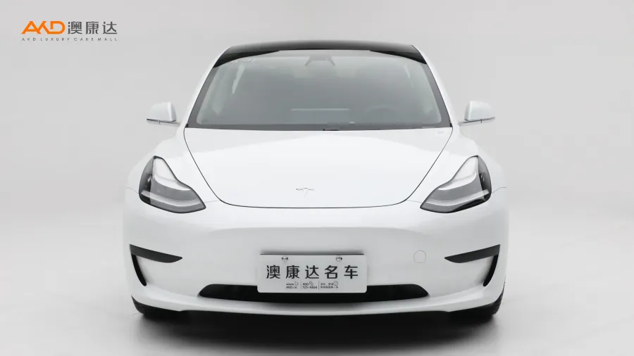 二手特斯拉Model 3 标准续航后驱升级版图片3739865