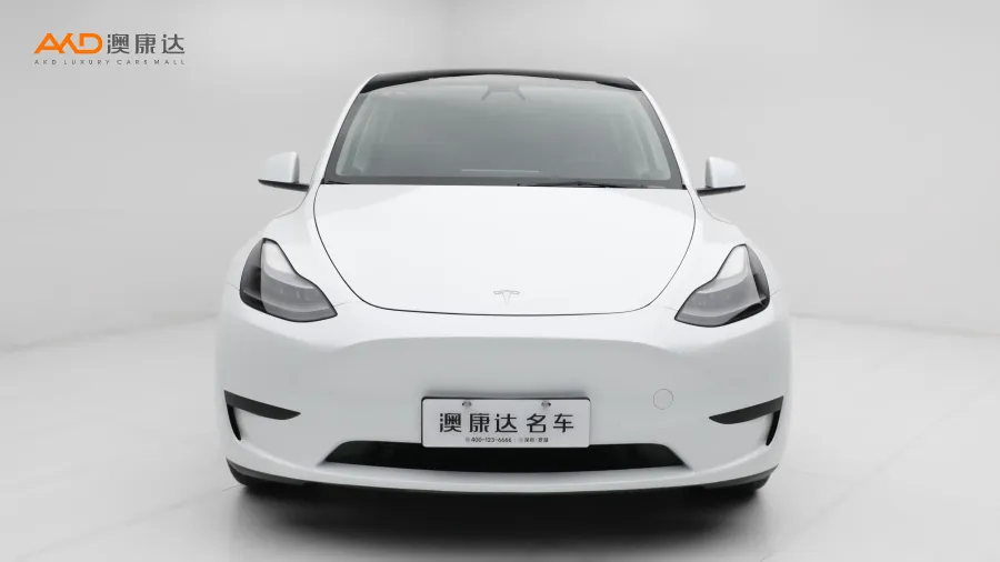 二手特斯拉Model Y 后轮驱动版图片3742409