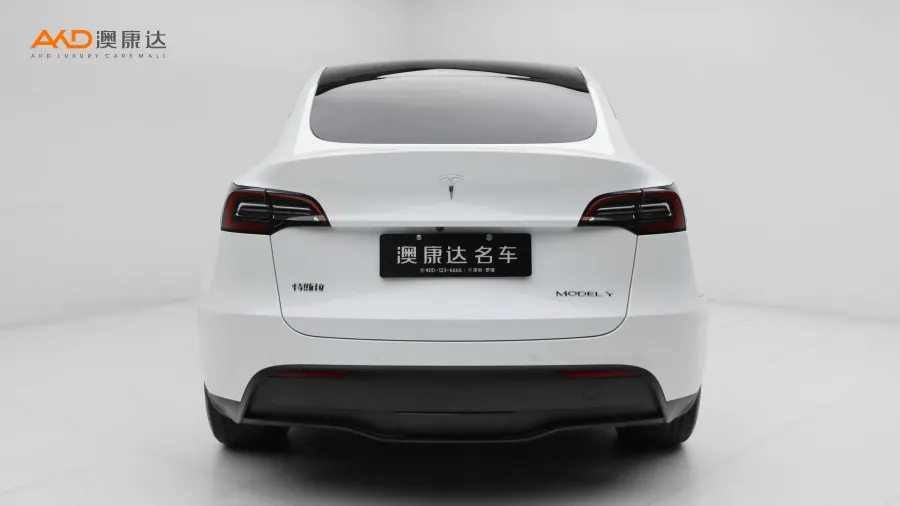 二手特斯拉Model Y 后轮驱动版图片3742415