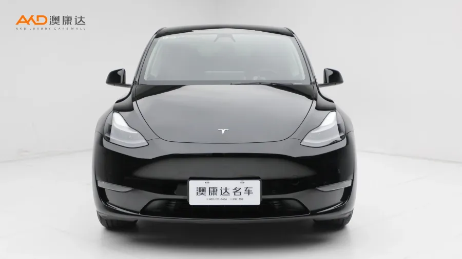 二手特斯拉Model Y 标准续航后驱版图片3747759