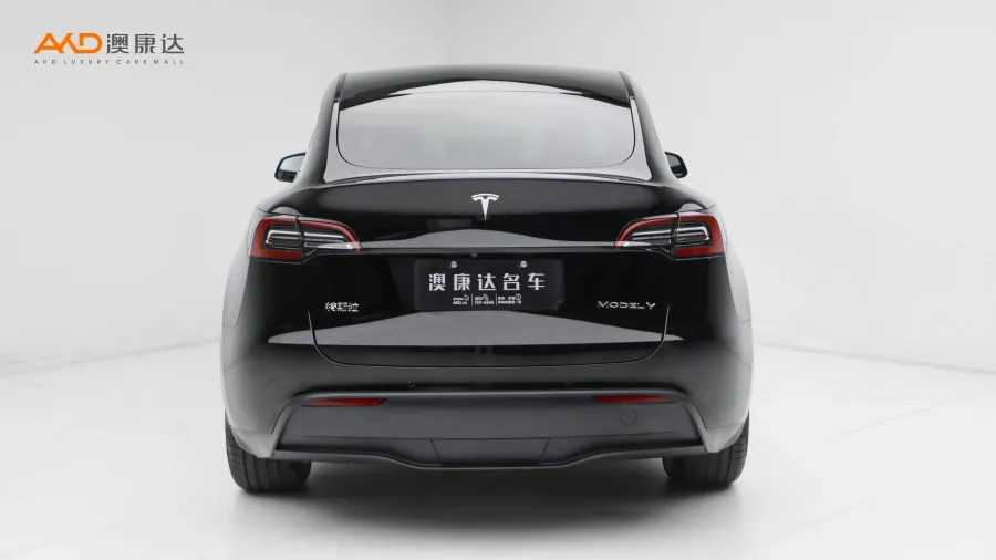 二手特斯拉Model Y 标准续航后驱版图片3747765