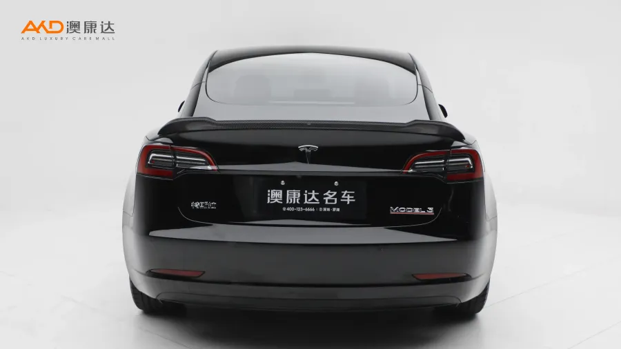 二手特斯拉Model 3  Performance高性能全轮驱动版图片3748692