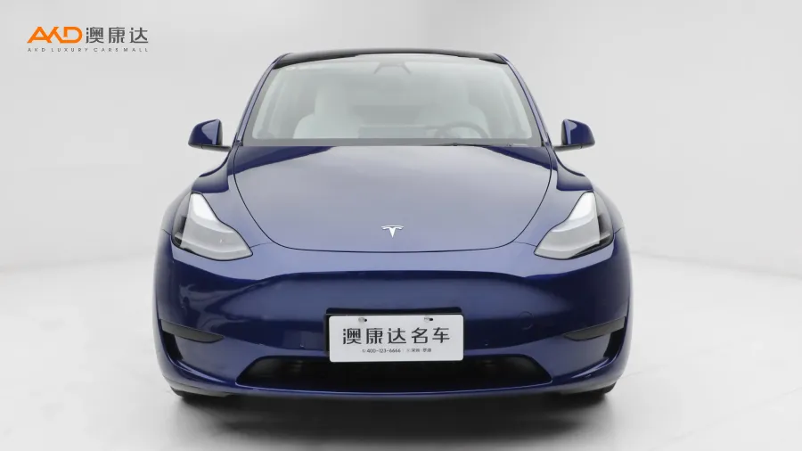 二手特斯拉Model Y 后轮驱动版图片3751858