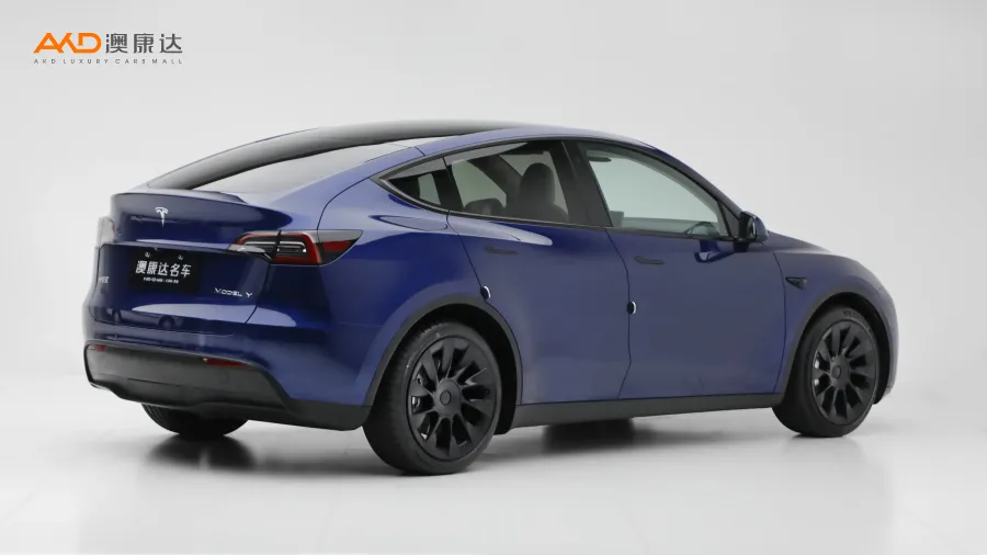 二手特斯拉Model Y 后轮驱动版图片3751862