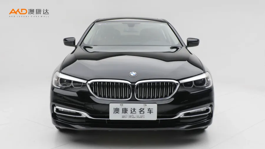 二手宝马530Li 领先型豪华套装图片3752266